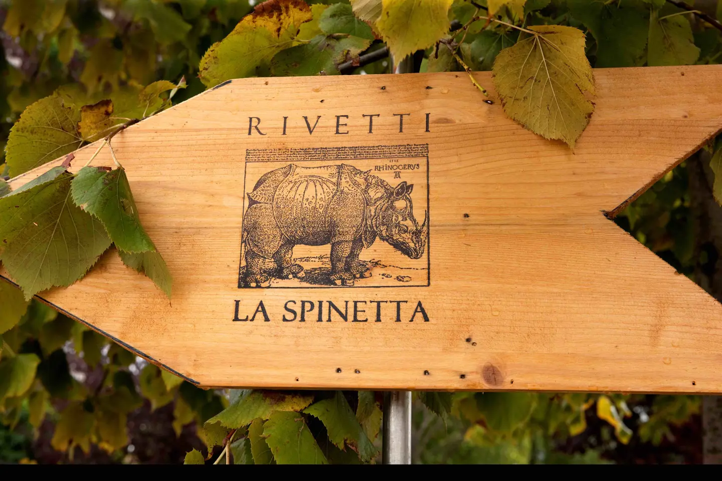 La Spinetta