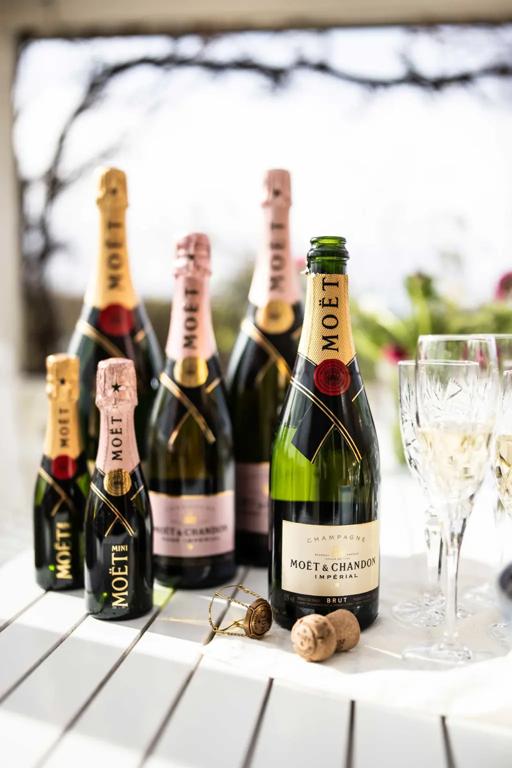Champagne | Vin og mad-match | Løgismose.dk