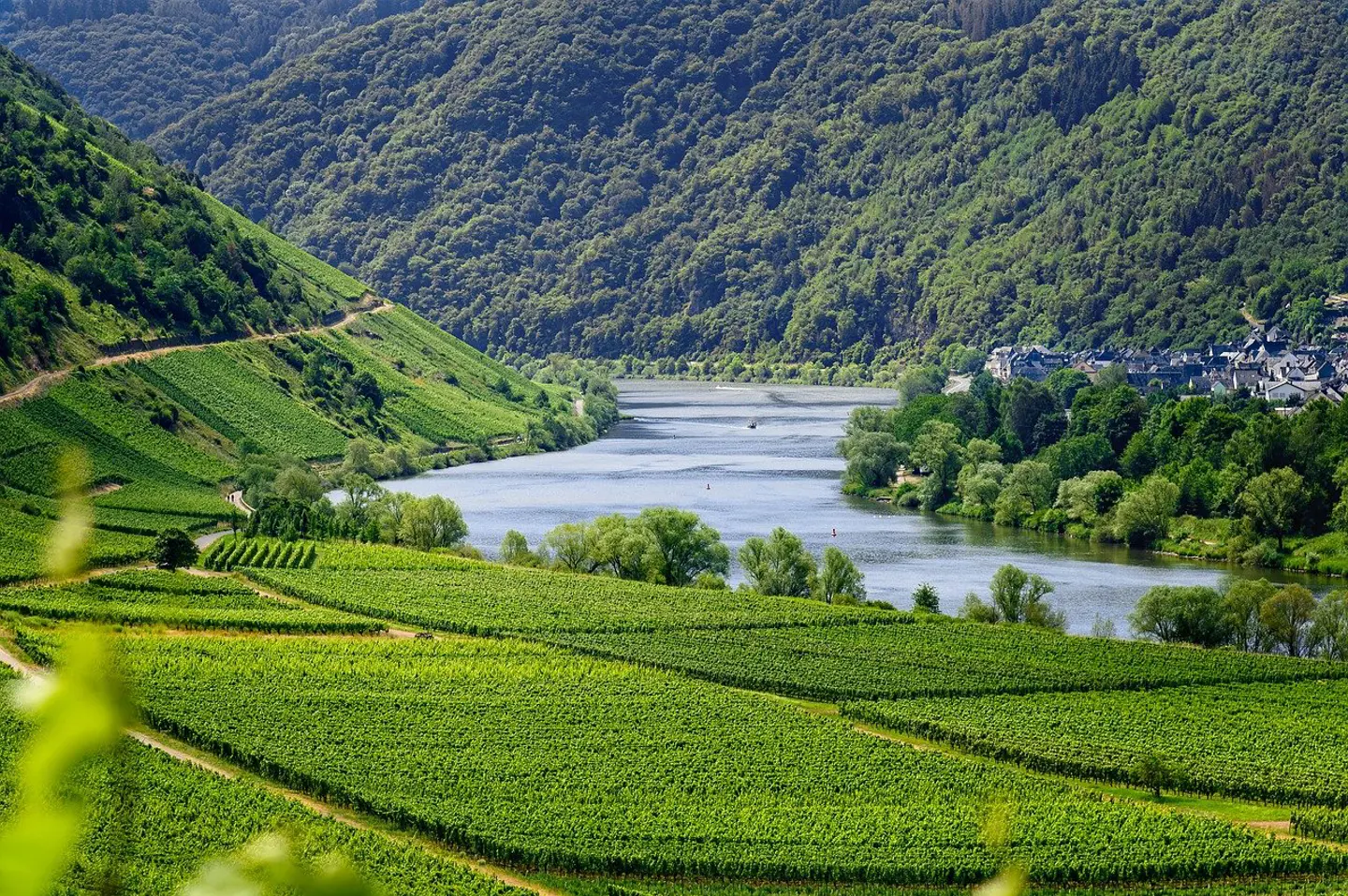 Vinmarker_mosel_luxembourg